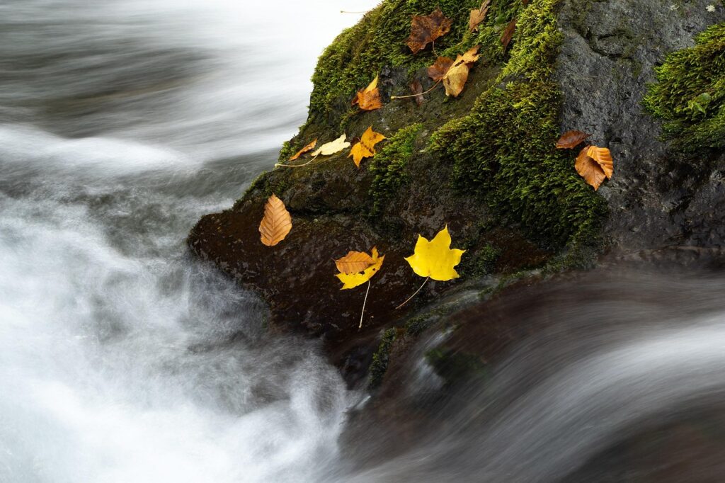 不倫の慰謝料請求における流れとはどのようなものですか？
