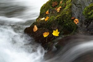 不倫の慰謝料請求における流れとはどのようなものですか？