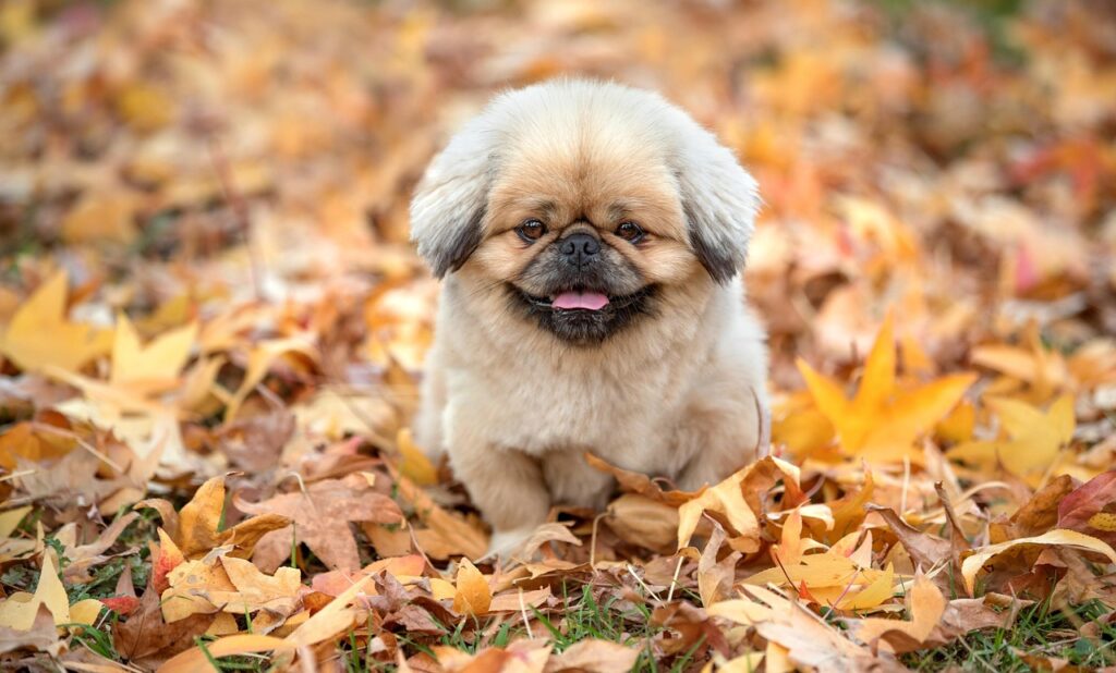 不倫証拠の写真を上手に撮る方法は？