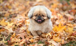 不倫証拠の写真を上手に撮る方法は？