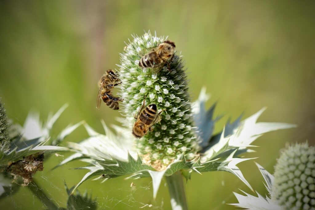 不倫証拠を自力で集める際の限界はどこにある？