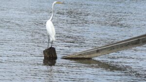 浮気調査でどこまでわかるのか徹底解説しますか？