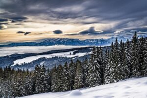 浮気調査における探偵の行動確認プランはどのように立てるべき？