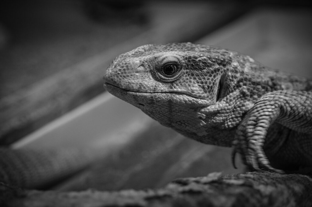 北海道の探偵による浮気調査の比較ポイントは？