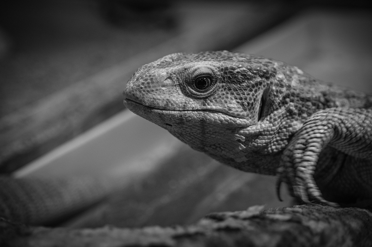 北海道の探偵による浮気調査の比較ポイントは？