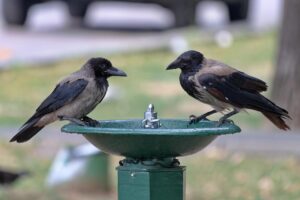 浮気調査をすぐに動くためのポイントは？