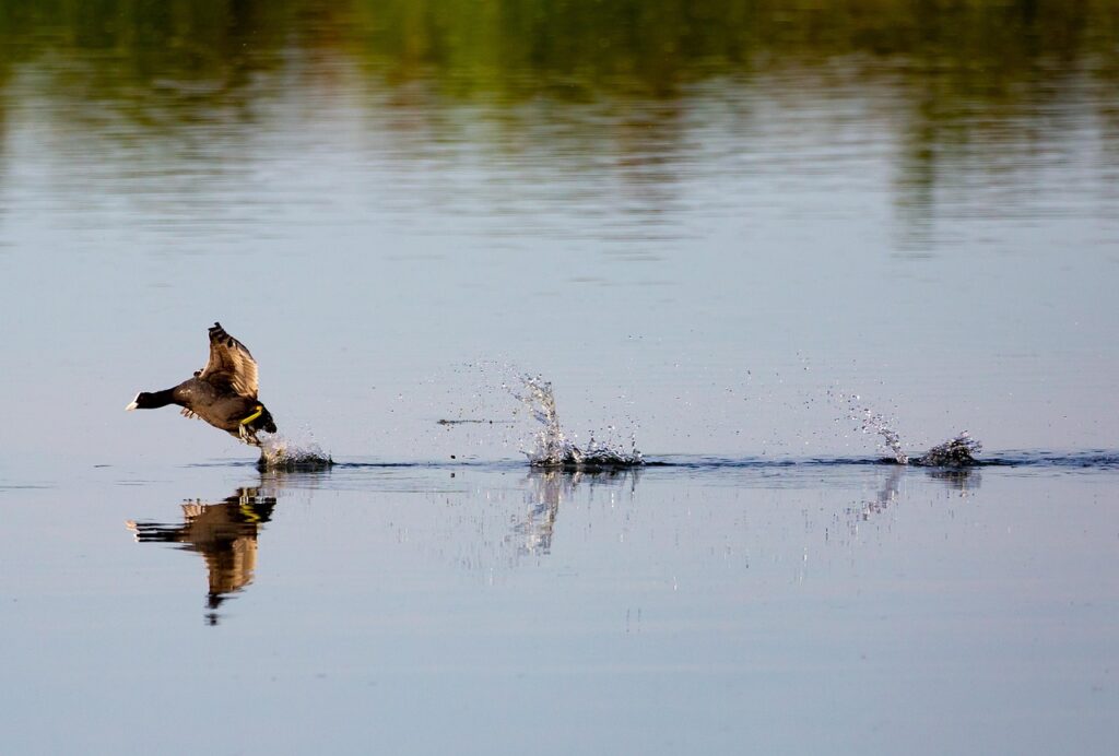 料金プランの比較で得られる最適な選択肢は？
