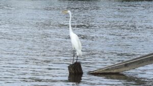 浮気調査で証拠はどこまで確認すれば良いのか？