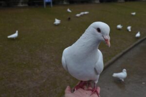 浮気調査を探偵に今すぐ依頼すべき理由は？