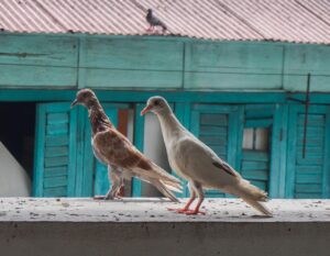 浮気調査を探偵に依頼しないと損する理由とは？