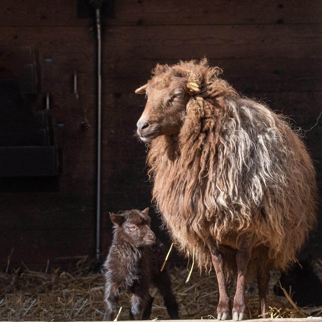 浮気調査を探偵に依頼する成功例とは？