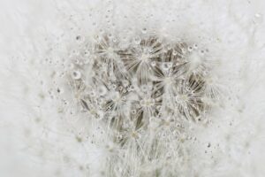 彼女の浮気を探偵に匿名相談する方法は？