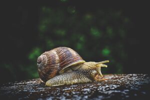 浮気調査を探偵に依頼する前に知っておきたい無料相談の比較は？